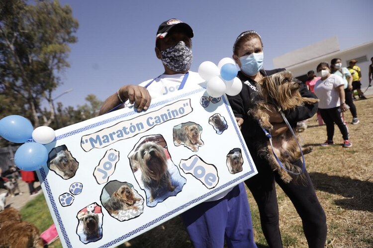 Maratón canino en Coyoacán