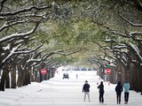 Pobladores juegan al aire libre, pese a las nuevas nevadas por la tormenta de ayer, en Dallas.