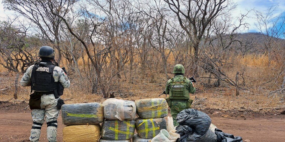Guardia Nacional y Sedena desmantelan laboratorio clandestino en Michoacán