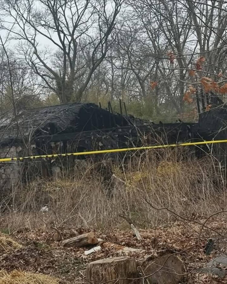 El incendio cobró la vida no sólo del responsable de rescatar a estos gatitos, sino también de más de 100 michis.
