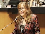 La senadora Polevnsky Gurwitz, el pasado 10 de diciembre, en el pleno de la Cámara alta.