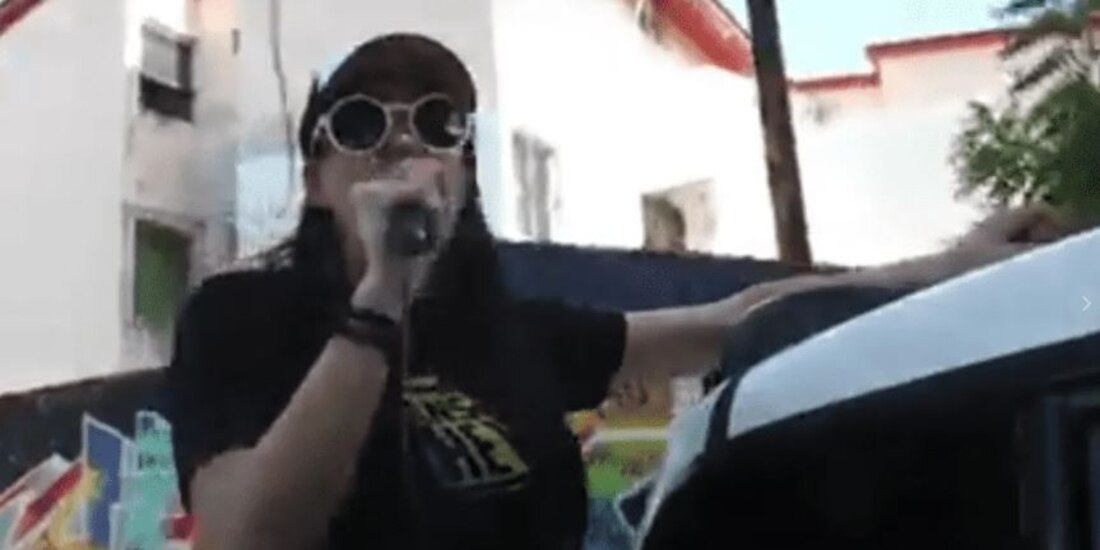 La mujer hizo de todo con tal de recuperar a su gato "Luismi"