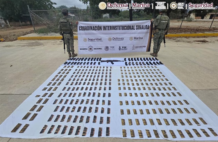 En los operativos, decomisaron armas y cartuchos útiles.