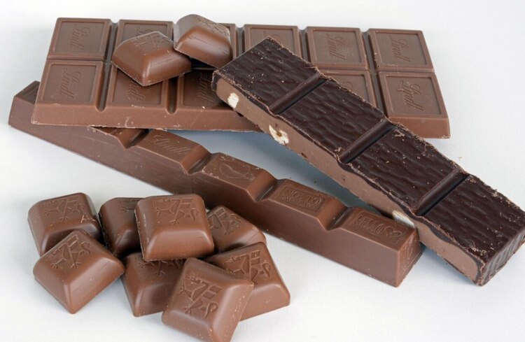 Cacao y chocolate, beneficios a la salud física y mental