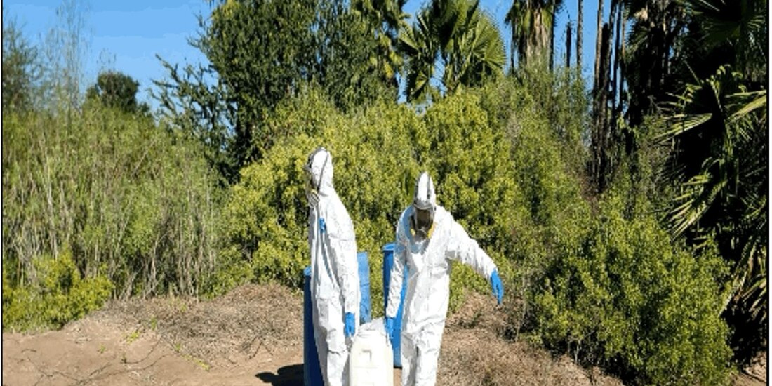 Acción de seguridad en Sinaloa.