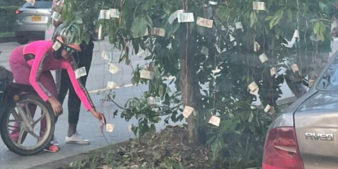 El árbol de billetes "apareció" junto a un mensaje en Cali, Colombia