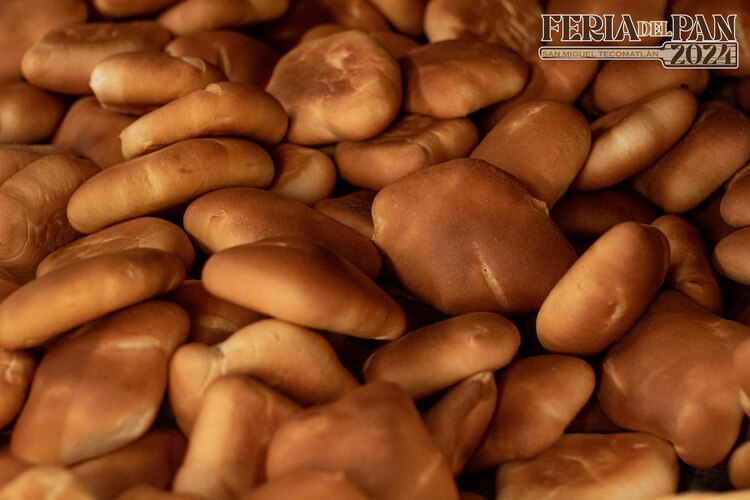 Tecomatlán es el hogar del cocol, según organizadores del evento.