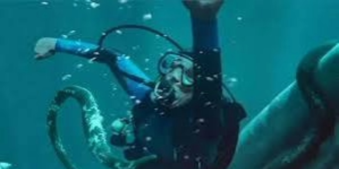 La caída de la ballena, ¿De qué trata la película, reparto y dónde ver?