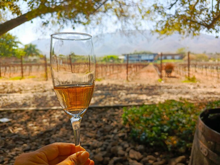 Finca La Estramancia