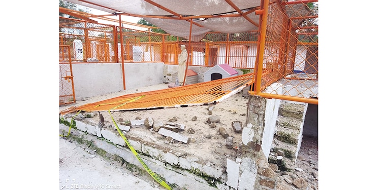 Desde febrero el Refugio Franciscano realizó obras para mejorar el lugar para recibir a perros y gatos, pero ayer fue destruido.