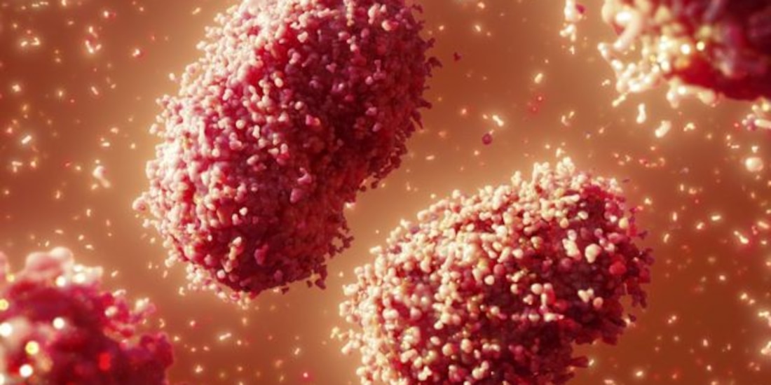 Comité epidemiológico emite alerta por mpox