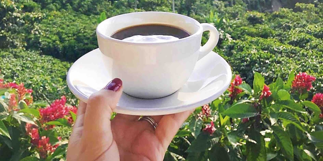 La región regala vistas impresionantes, como el volcán Tacaná.