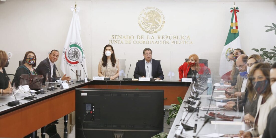 Rosario Piedra, ayer, en su comparecencia en el Senado.