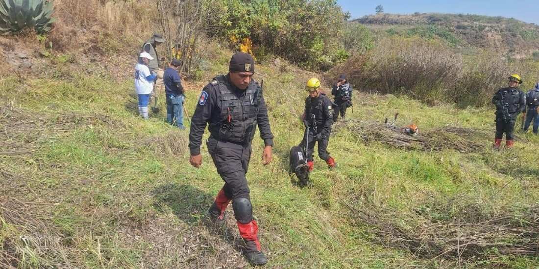 Alcaldía Álvaro Obregón realiza la primera jornada de búsqueda en barranca de Tarango.
