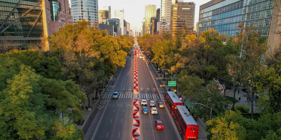 Arrancó el Festival Flores de Nochebuena.