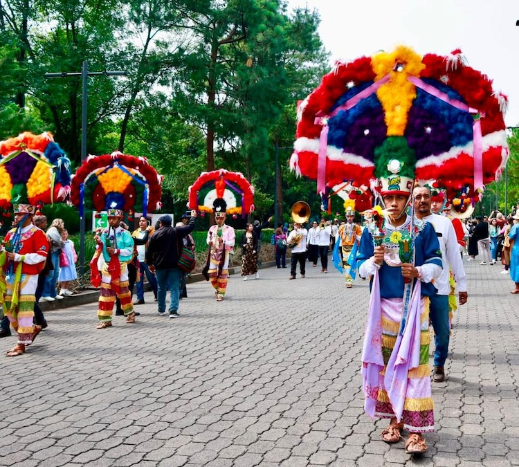 Presentaciones de danza como parte de "Oaxaca en Los Pinos".