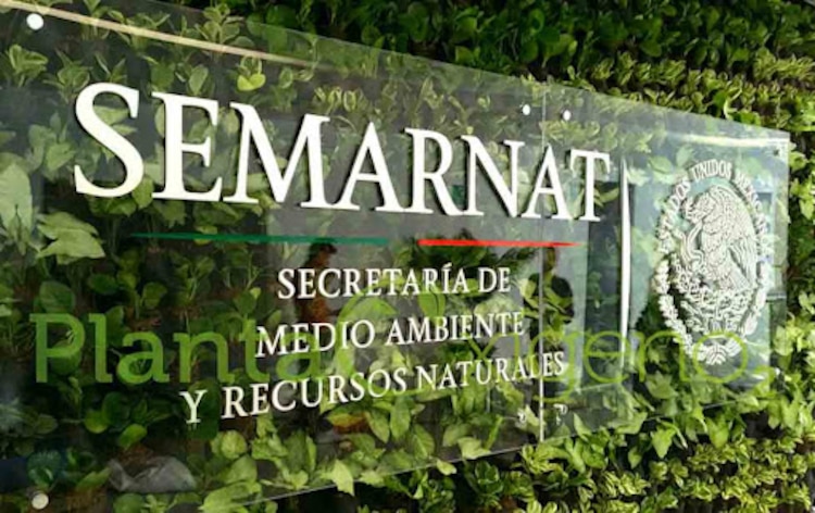 Un funcionario de Semarnat también fue sancionado.