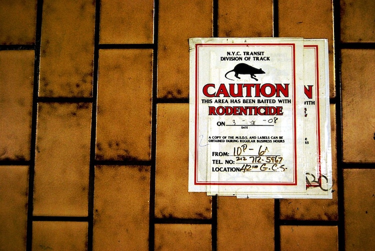 Un cártel que advierte por las ratas en Nueva York.