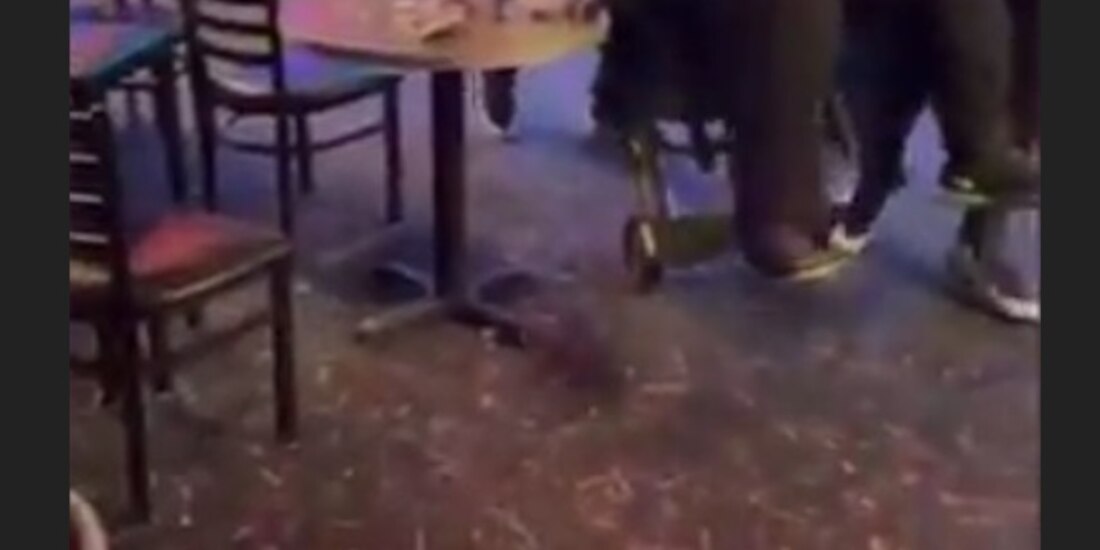 Este hombre salió de un bar en carretilla; guardias lo sacaron sin moverlo de su silla