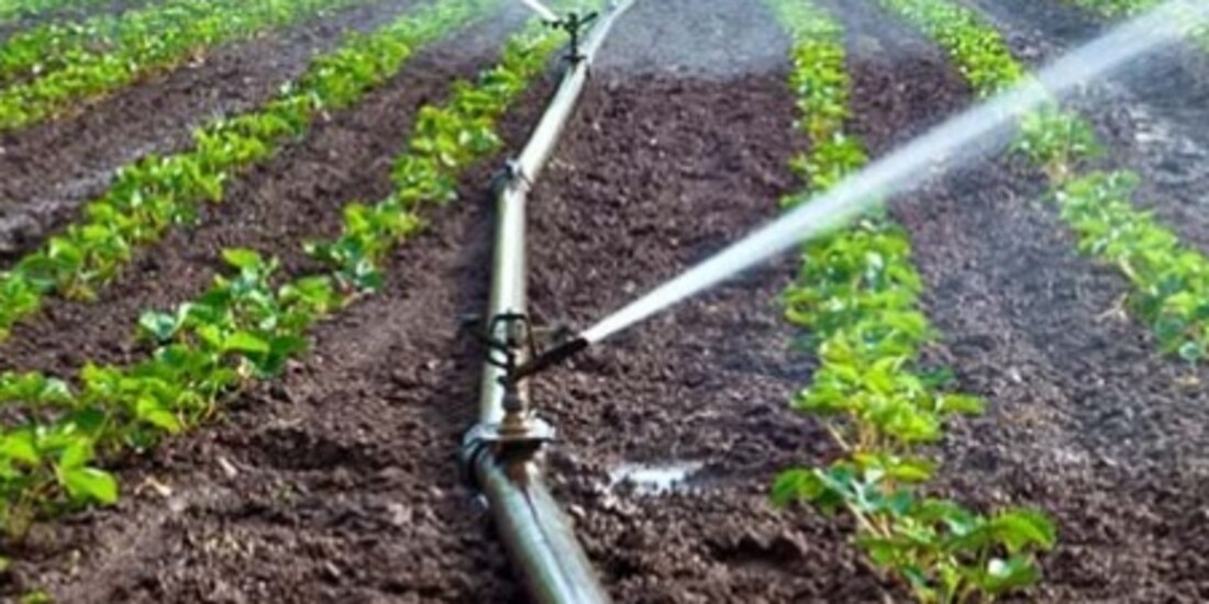 Incluso conseguir agua para el riego o el transporte de las cosechas implica que se paguen cuotas al crimen organizado, señalan