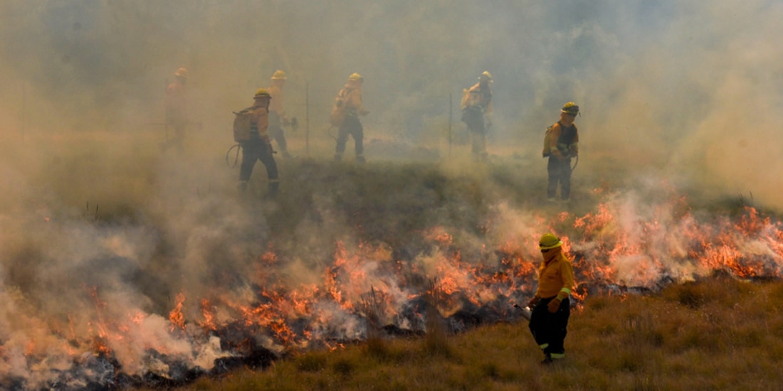 Incendios activos se quintuplican en ocho días bajo la onda de calor