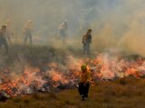 Incendios activos se quintuplican en ocho días bajo la onda de calor