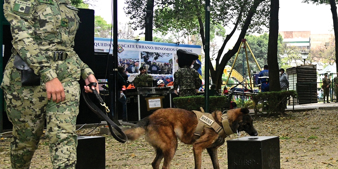 EN EL DÍA Mundial del Perro, la Secretaría de Marina rindió homenaje a sus 24 binomios caninos por su “invaluable” labor junto con el personal naval, que abarca la búsqueda de personas y la detección de explosivos o narcóticos, en beneficio de la población.