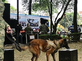 EN EL DÍA Mundial del Perro, la Secretaría de Marina rindió homenaje a sus 24 binomios caninos por su “invaluable” labor junto con el personal naval, que abarca la búsqueda de personas y la detección de explosivos o narcóticos, en beneficio de la población.