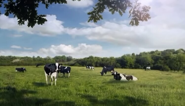 La importante empresa publicó una disculpa escrita luego de la molestia en la población