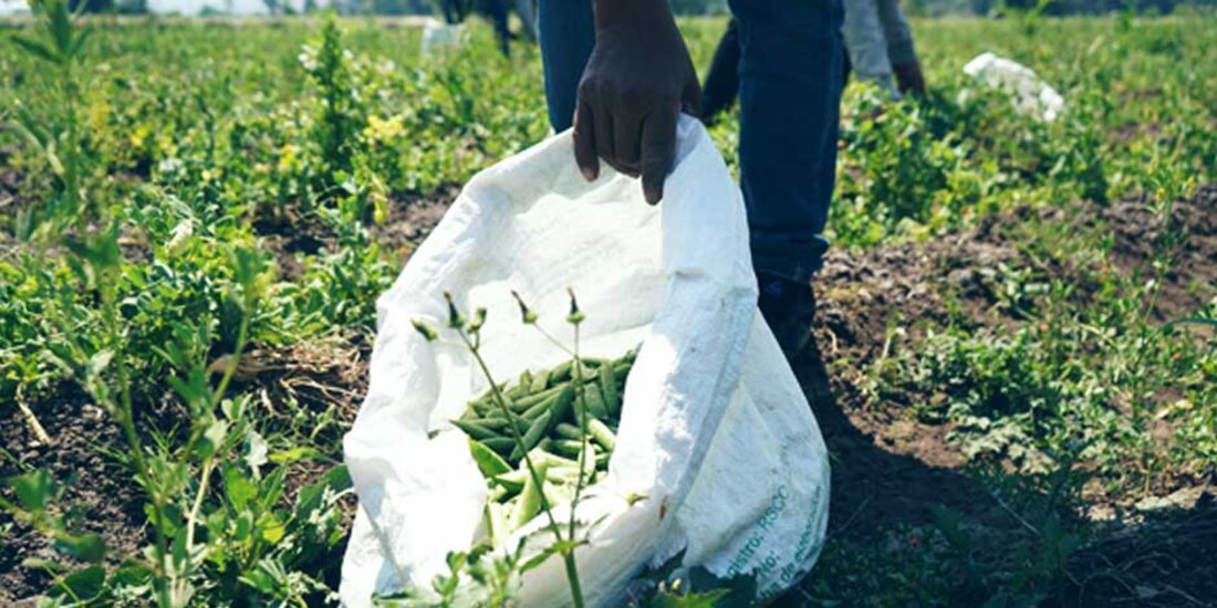 CNA relanza estándar para cumplir obligaciones laborales del T-MEC