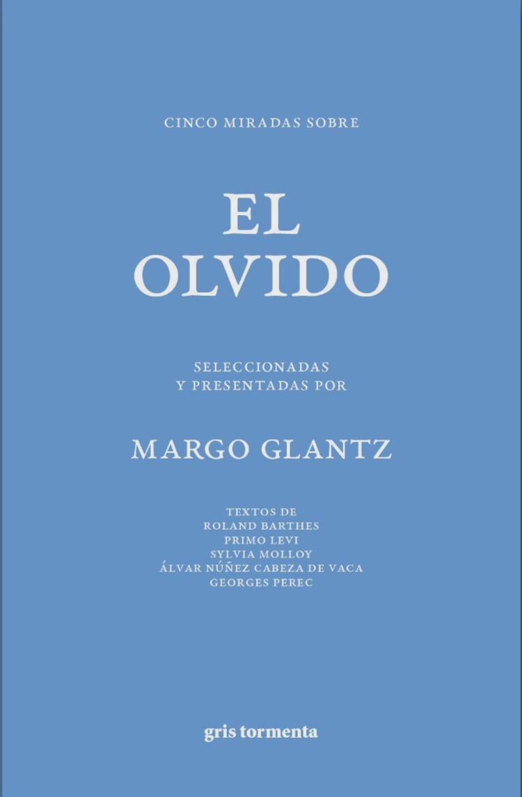 Cinco miradas sobre el olvido