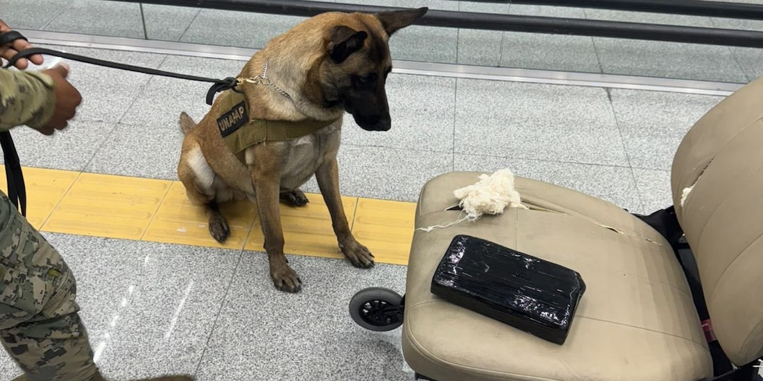Binomio canino detecta presunta cocaína oculta en silla de ruedas, en el AICM.