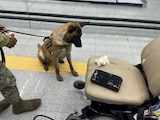 Binomio canino detecta presunta cocaína oculta en silla de ruedas, en el AICM.