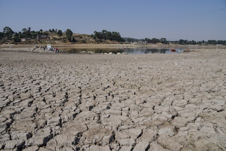 Los daños en la economía por la sequía del lago afectan a cerca de 4 mil familias, quienes apenas alcanzan a obtener ingresos por 2 mil pesos para sobrevivir.
