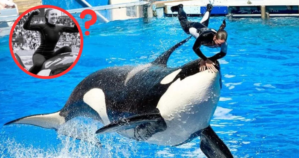 Jessica Radcliffe y la verdad detrás del supuesto ataque de una orca; circula que perdió la vida - La Razón de México