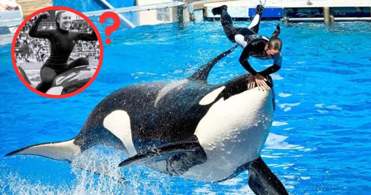 Jessica Radcliffe y la verdad detrás del supuesto ataque de una orca; circula que perdió la vida - La Razón de México