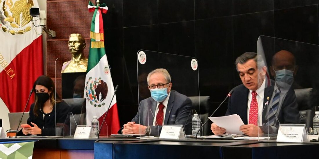 Jorge Alcocer durante su comparecencia ante el Senado de la República.