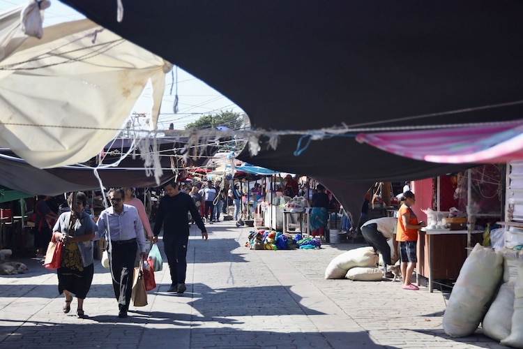 Actividades vuelven poco a poco a la normalidad