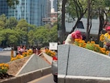 CDMX embellece Reforma con cempasúchil