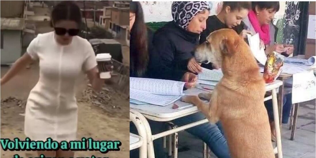 Estos son los memes que dejan las elecciones México 2024