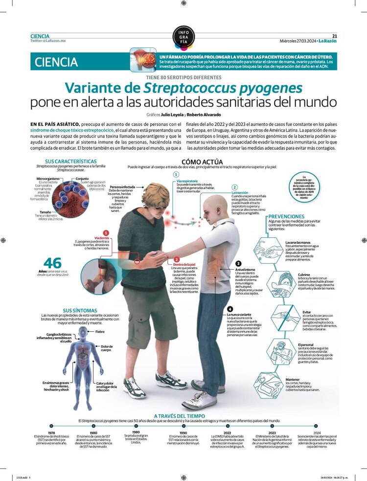 Streptococcus pyogenes