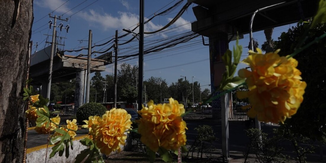 Hay 6 carpetas de investigación por L12 contra servidores