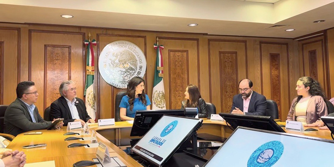 El pasado 16 de febrero, Somos MX entregó su propuesta electoral.