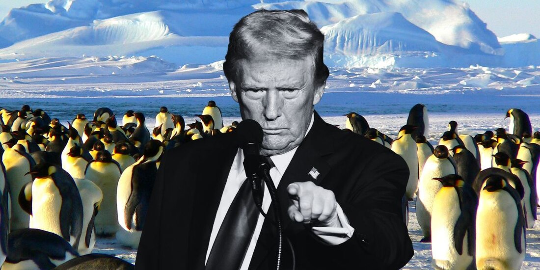 Aranceles de Trump afectaron también a los pingüinos... EU explica qué hay detrás de esta decisión.
