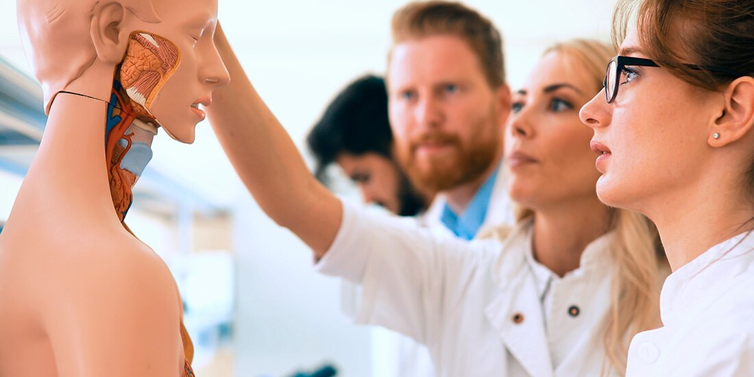 Modelo de enseñanza e investigación