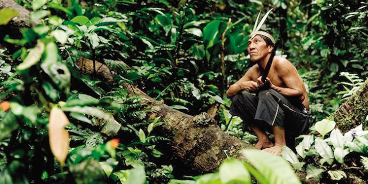 Gran mal. Joca Reiners Terron