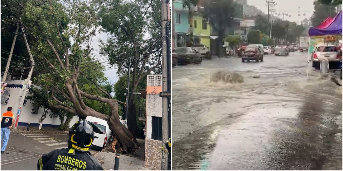 Árboles caídos e inundaciones en la Ciudad de México por las lluvias del 29 de junio de 2026.