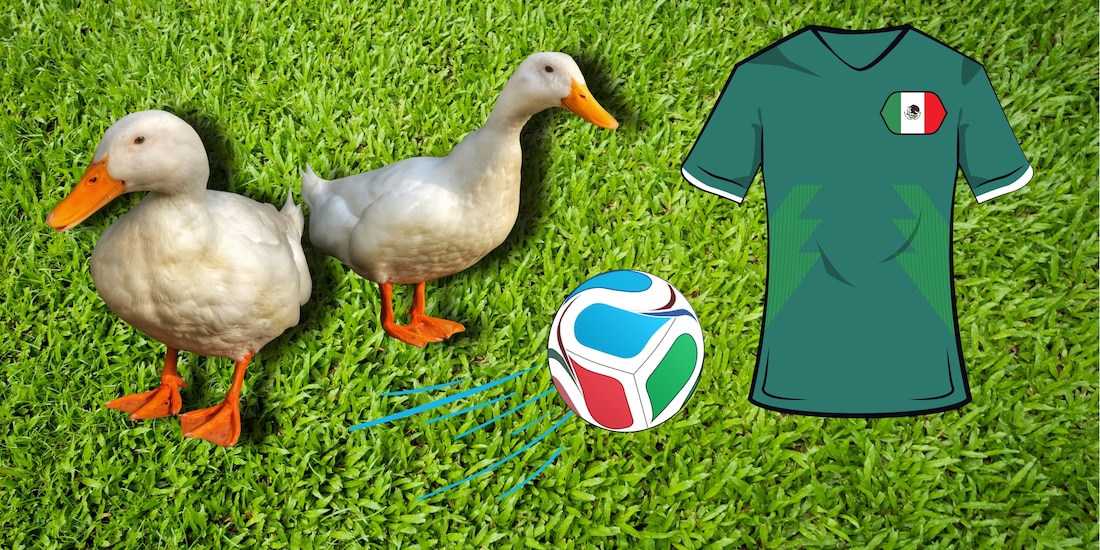 Merlín y Pedrito, los patos mexicanos del Mundial