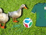 Merlín y Pedrito, los patos mexicanos del Mundial