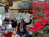 Trajineras de Xochimilco tienen actividades navideñas.